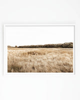 Framed in White