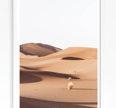 Framed in White
