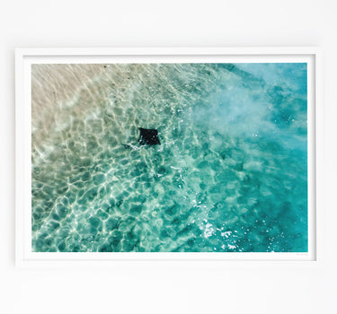 Framed in White