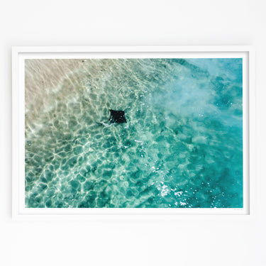 Framed in White