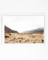 Framed in White