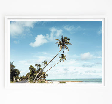 Framed in White
