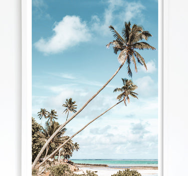 Framed in White