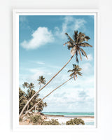 Framed in White