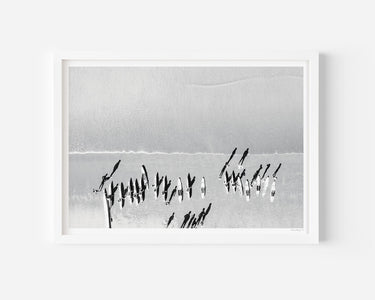 A Fine Day Black And White Art Print - Alex and Sony