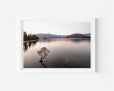 Dimly Lit Lake Wanaka - Alex and Sony