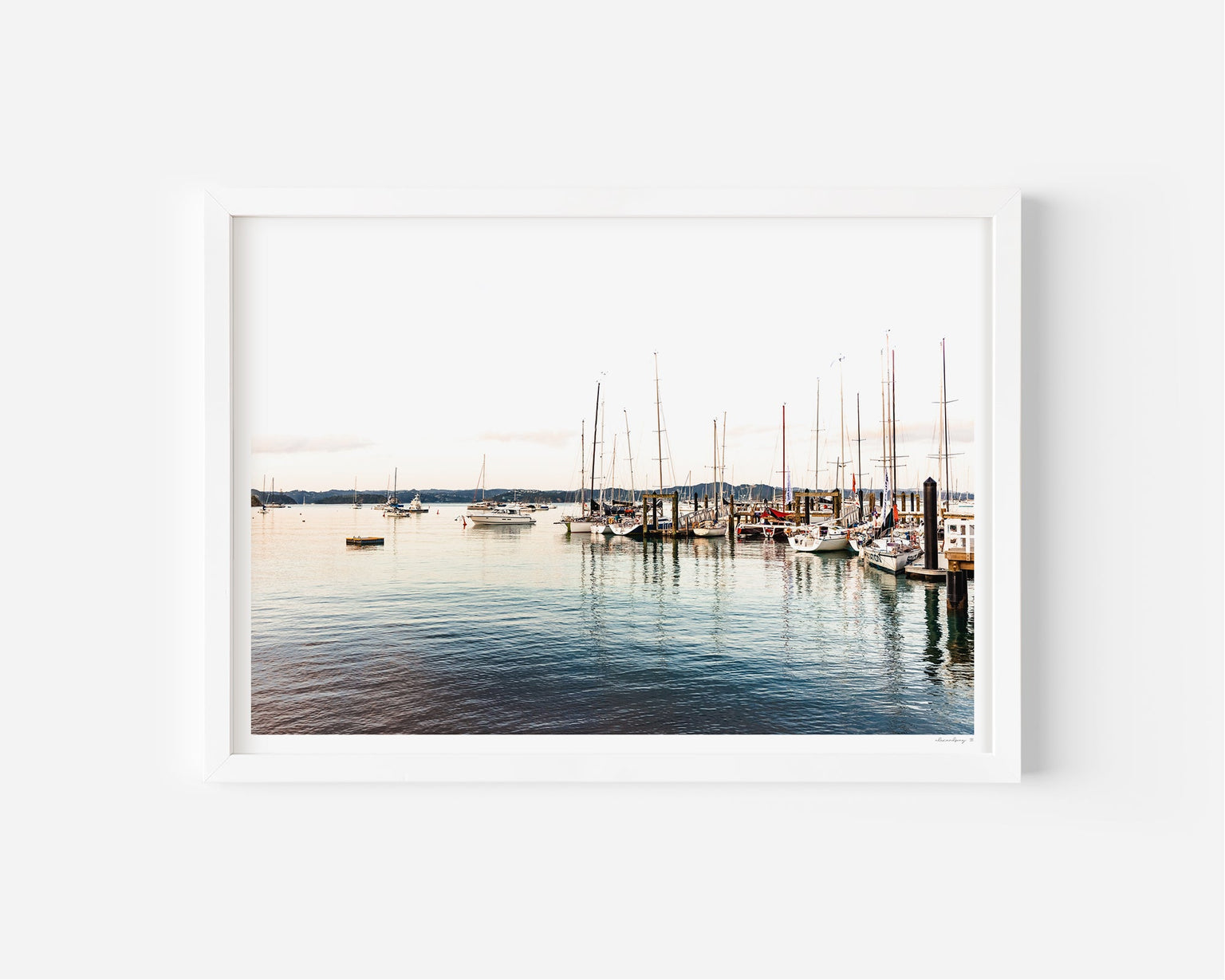 NZ Fine Prints | Ocean Art | Framed Prints — Alex and Sony