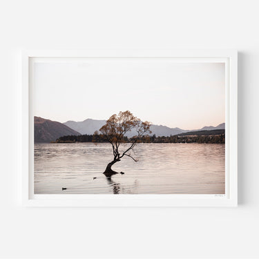 Lake Wanaka Willow Tree - Alex and Sony