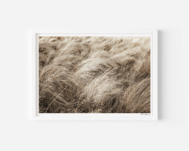 Summertime Tussock - Alex and Sony