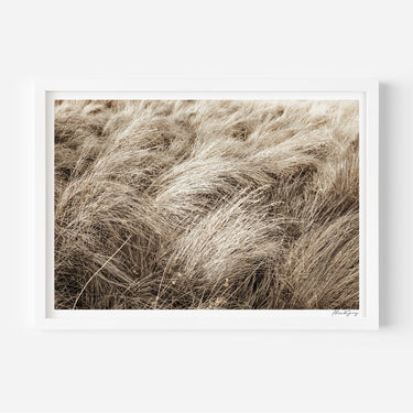 Summertime Tussock - Alex and Sony