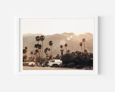 Sun drenched Palm Springs - Alex and Sony