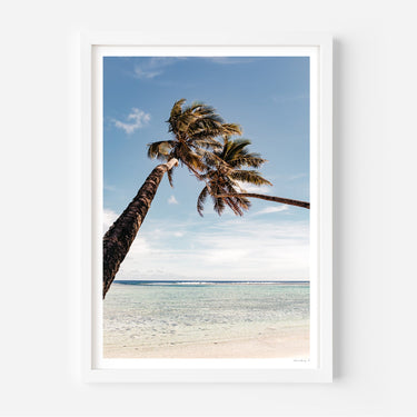 Under the Palm Trees • Rarotonga - Alex and Sony