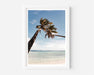 Under the Palm Trees • Rarotonga - Alex and Sony