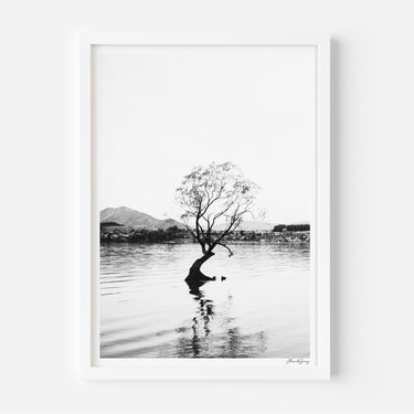 Wanaka Willow Tree | Lake Wanaka - Alex and Sony